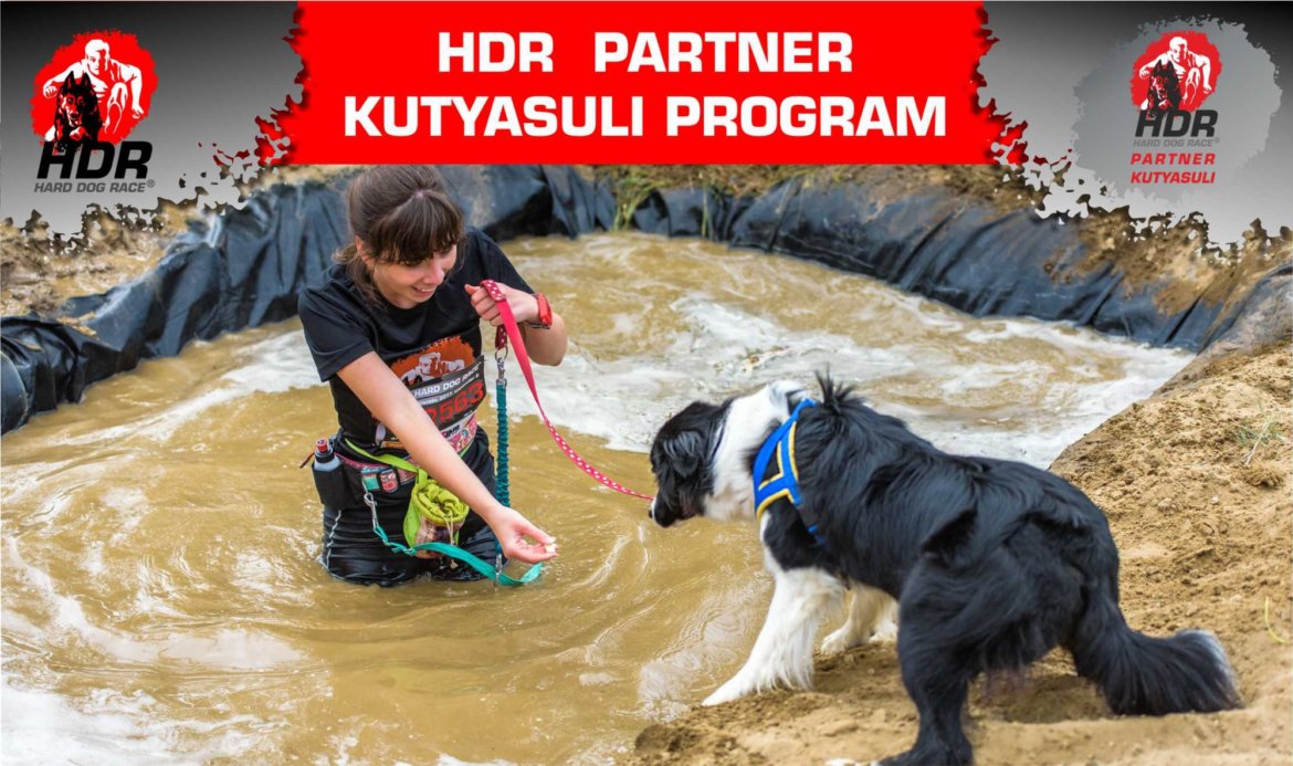 HDR_Partner_Kutyasuli.jpg